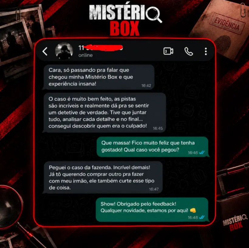 Conversa de cliente elogiando a experiência Mistério Box 2